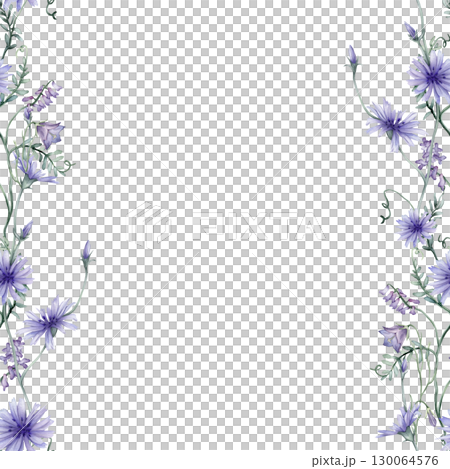 Square border or frame with blue wildflowers. Hand drawn watercolor illustration on isolated background. Summer floral pattern for frame or banner with chicory and bluebell and Mouse Pea Flowers. 130064576