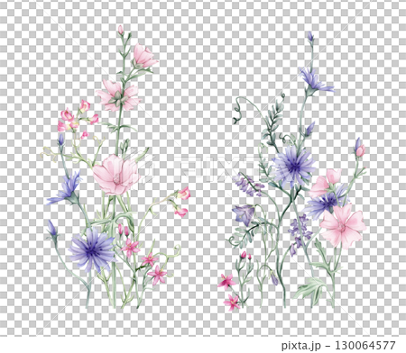 Watercolor floral composition illustration - wildflowers bouquet set. Summer meadow bluebell and pink flowers, chicory . Greetings, wallpapers, background texture, wrapping. Hand drawn illustration. 130064577