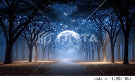 Enchanted Moonlit Forest Path 130064868