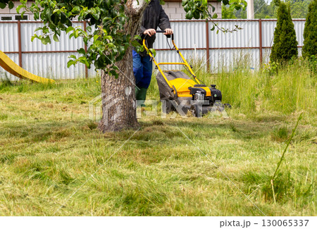 A gardener mows tall grass in a garden plot 130065337