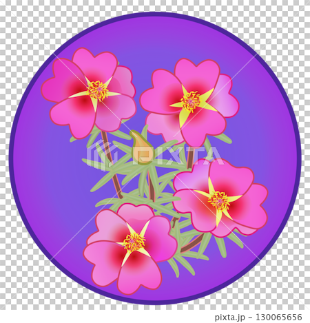 Illustration of a pine needle peony with a circular background 130065656