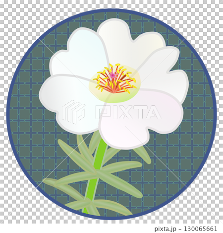 円形背景つき松葉牡丹のイラスト 130065661