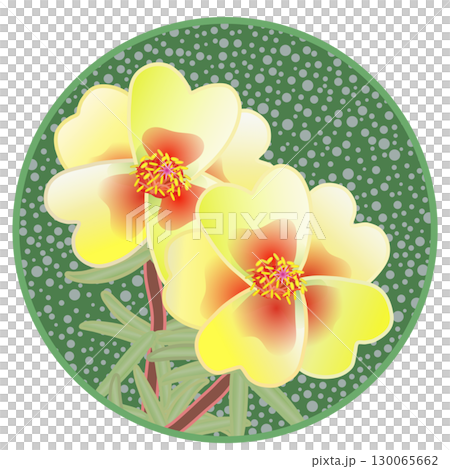 Illustration of a pine needle peony with a circular background Illustration of a pine needle peony with a circular background 130065662