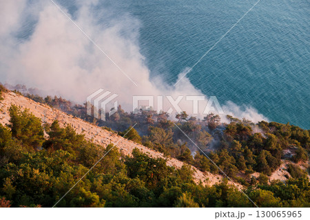 Fire smoke rising from forest near sea coast, natural disaster affecting environment and landscape 130065965