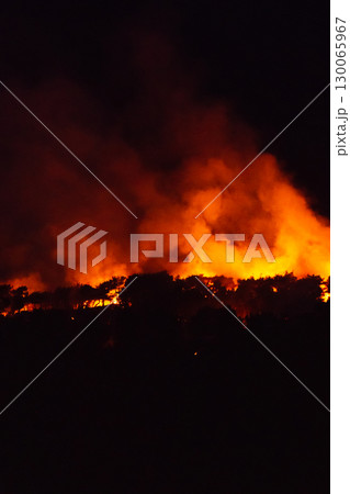 Forest fire at night with heavy smoke and flames destroying trees, danger scene Forest fire at night with heavy smoke and flames destroying trees, danger scene 130065967