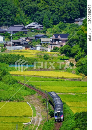 四国の山里を走る特急宇和海 四国の山里を走る特急宇和海 130066266