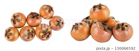 Brown fresh medlars isolated on white background. Mespilus germanica . Top view. Flat lay Brown fresh medlars isolated on white background. Mespilus germanica . Top view. Flat lay 130066592