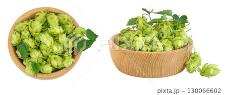 Hop cones in wooden bowl isolated on white background. Beer brewing ingredients. Top view. Flat lay Hop cones in wooden bowl isolated on white background. Beer brewing ingredients. Top view. Flat lay 130066602