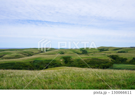宗谷丘陵・稚内市 130066611