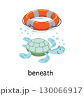 Preposition of place. Turtle BENEATH the lifebuoy 130066917