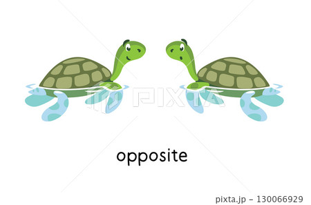 Preposition. Turtles are OPPOSITE each other 130066929