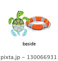 Preposition of place. Turtle BESIDE the lifebuoy 130066931