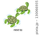 Preposition of place Turtle NEXT TO another turtle 130066935