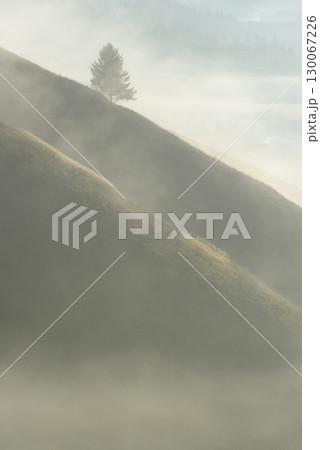 Misty Autumn Hills With Lone Tree And Copy Space 130067226