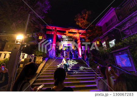 日本の藤沢都市景観　ライトアップされた江島神社・日本三大弁財天などを望む 130067283