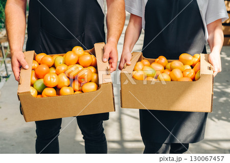 Two individuals holding cardboard boxes filled with fresh, ripe tomatoes, showcasing vibrant colors and textures, in a bright, airy space that emphasizes freshness of the produce and joy of harvest 130067457