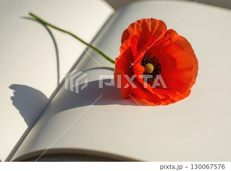 New Beginnings - Single Flower on Blank Notebook Page 130067576