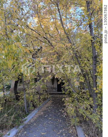 Autumn Pathway to a Forgotten Building Golden Leaves and Mystery Leading the Way 130067862