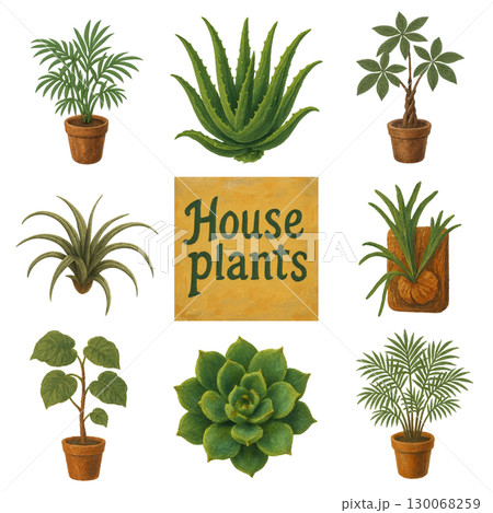 観葉植物　多肉植物　インテリア　切り抜き　イラスト 130068259