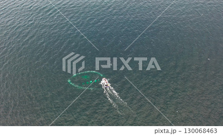 Humpback Whales, Megaptera novaeangliae, Bubble-Net feeding in Donegal Bay, Ireland 130068463