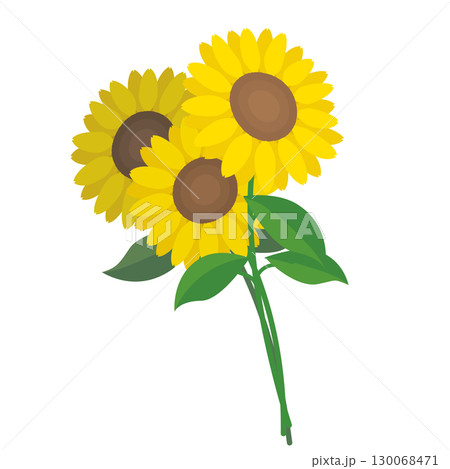 シンプルかわいいひまわりの花束イラスト 130068471