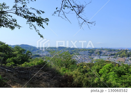 神奈川県・横須賀市・衣笠山公園 神奈川県・横須賀市・衣笠山公園 130068582