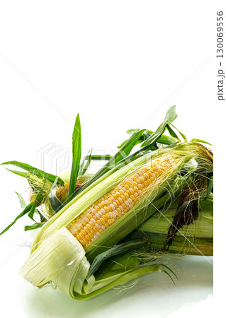 detailed plan of corn with bright leaves and husk detailed plan of corn with bright leaves and husk 130069556