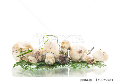 Natural harvest of fresh champignon mushrooms on clean white background Natural harvest of fresh champignon mushrooms on clean white background 130069584