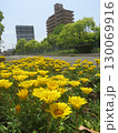 花壇に咲く黄色い花 130069916