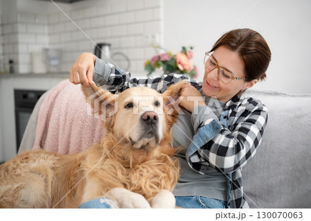 Happy Girl Plays With An Adorable Golden Retriever Dog And Amusingly Holds Its Ears Happy Girl Plays With An Adorable Golden Retriever Dog And Amusingly Holds Its Ears 130070063