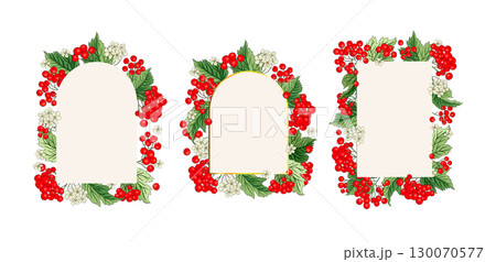 Viburnum Guelder Red Berry Frame Set Decorative Banner Border Card Invitation Vector Fall Frame Autumn Fruit Viburnum Guelder Red Berry Frame Set Decorative Banner Border Card Invitation Vector Fall Frame Autumn Fruit 130070577