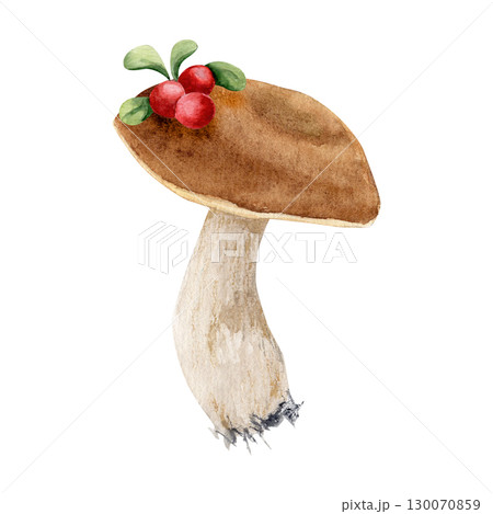 Watecrolor hand drawn white mushroom with berries on the mushroom cap. The atrwork captures the natural texture and earthy tones of the mushroom. 130070859