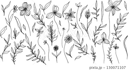 Set of vector composition with flower, leaves and branch. Elegant art for decoration. ink hand drawing monochrome botanical illustration for backgrounds, wedding cards, polygraph, logo, tattoo. 130071107
