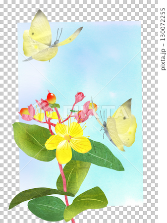植物ヒペリカムと蝶の貼り絵切り絵イラスト背景有り 植物ヒペリカムと蝶の貼り絵切り絵イラスト背景有り 130072255