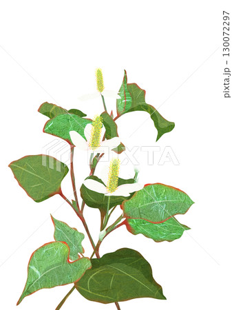 薬にもなる植物ドクダミ草の貼り絵切り絵イラスト 130072297