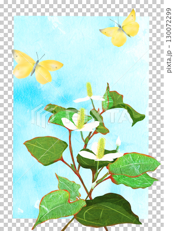 蝴蝶在魚腥草花上嬉戲的拼貼剪紙插圖（含背景） 130072299