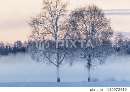 霧氷と気嵐 130072416
