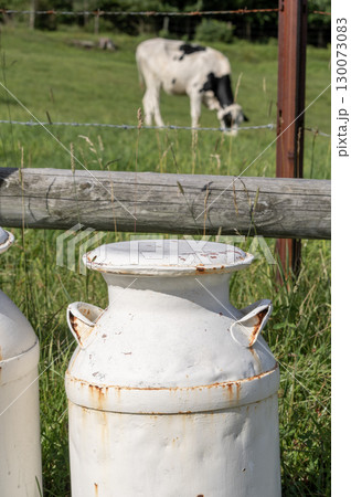 夏の浅間牧場 - 青空の下で草を食む牛 夏の浅間牧場 - 青空の下で草を食む牛 130073083