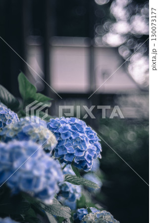 多古町・日本寺の紫陽花と寺院 130073177