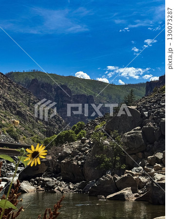Scenic Mountain Canyon with Wildflower and River Under Blue Sky Scenic Mountain Canyon with Wildflower and River Under Blue Sky 130073287