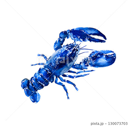 Hand drawn watercolor illustration of a blue lobster in a nautical style 130073703