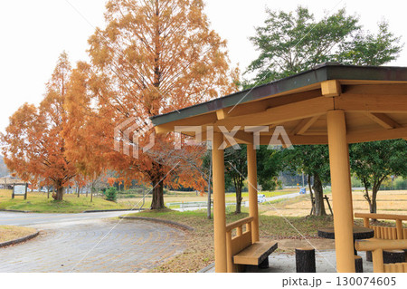 公園でみかける屋根付きの休憩所あずまや(メタセコイア紅葉) 公園でみかける屋根付きの休憩所あずまや(メタセコイア紅葉) 130074605