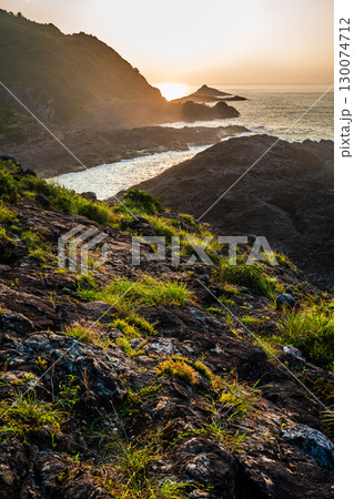 サンポウの朝景色　【宮崎県日向市】 130074712