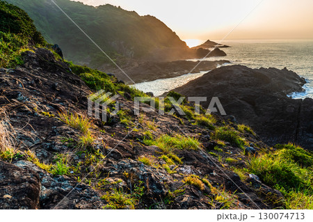 サンポウの朝景色　【宮崎県日向市】 130074713