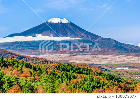山梨 紅葉の二十曲峠からみる富士山 130075077