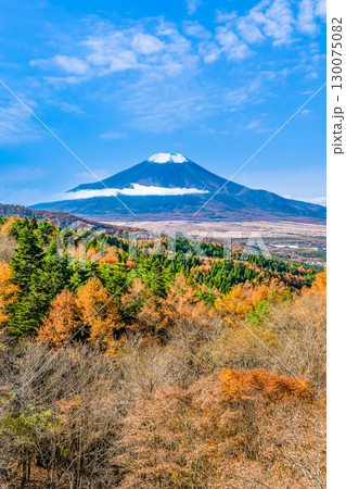 山梨 紅葉の二十曲峠からみる富士山 130075082