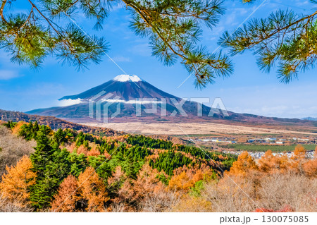 山梨 紅葉の二十曲峠からみる富士山 130075085