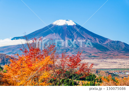 山梨 紅葉の二十曲峠からみる富士山 山梨 紅葉の二十曲峠からみる富士山 130075086