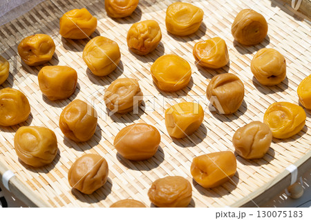 竹笊に並べた天日干し中の梅の実のクローズアップ（梅干し・土用干し） 130075183