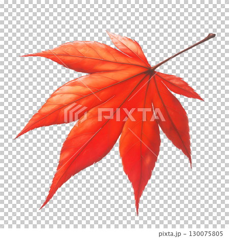 紅葉の葉っぱの水彩風イラスト 130075805